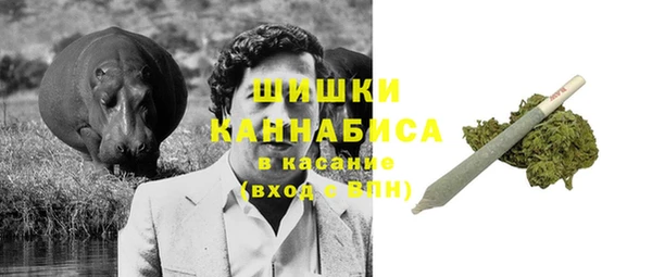 apvp Няндома