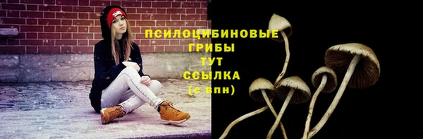 ГАЛЛЮЦИНОГЕННЫЕ ГРИБЫ Новодвинск
