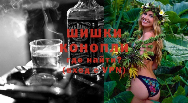 молекула духа Болохово