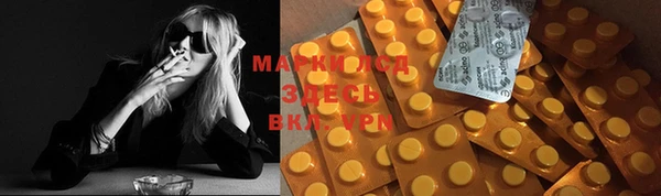 spice Новозыбков