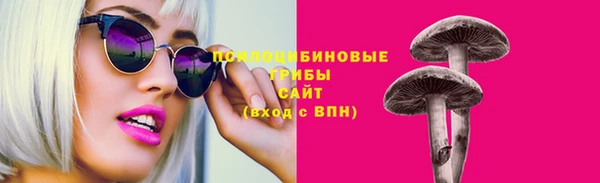 ГАЛЛЮЦИНОГЕННЫЕ ГРИБЫ Новодвинск