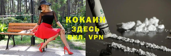 apvp Няндома