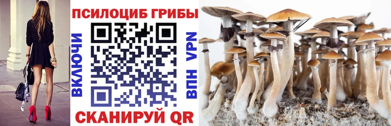 Галлюциногенные грибы Psilocybine cubensis Нижний Тагил