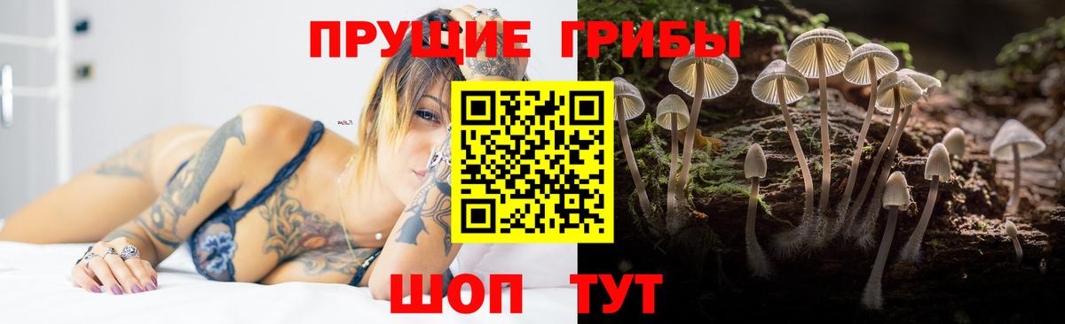 Нижний Тагил  Псилоцибиновые грибы Magic Shrooms  Вход с VPN 