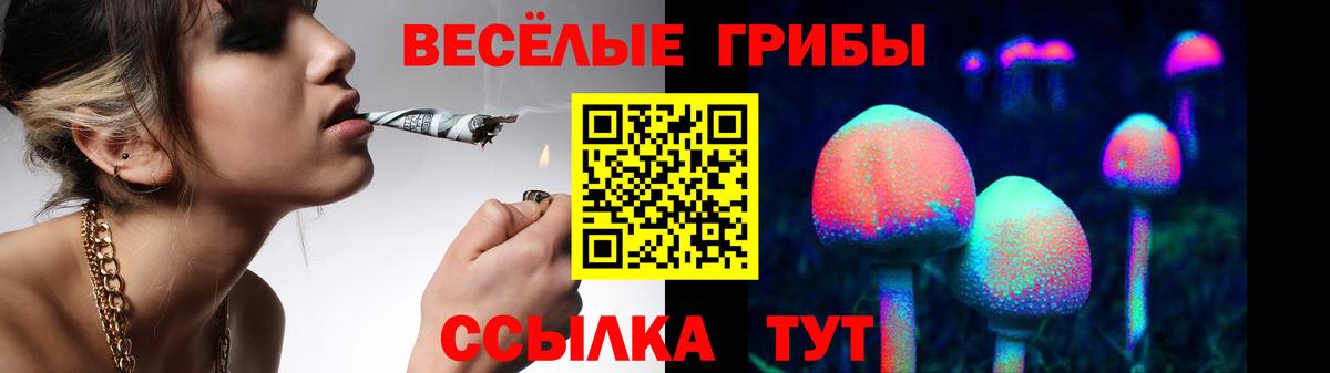 Псилоцибиновые грибы мухоморы Нижний Тагил