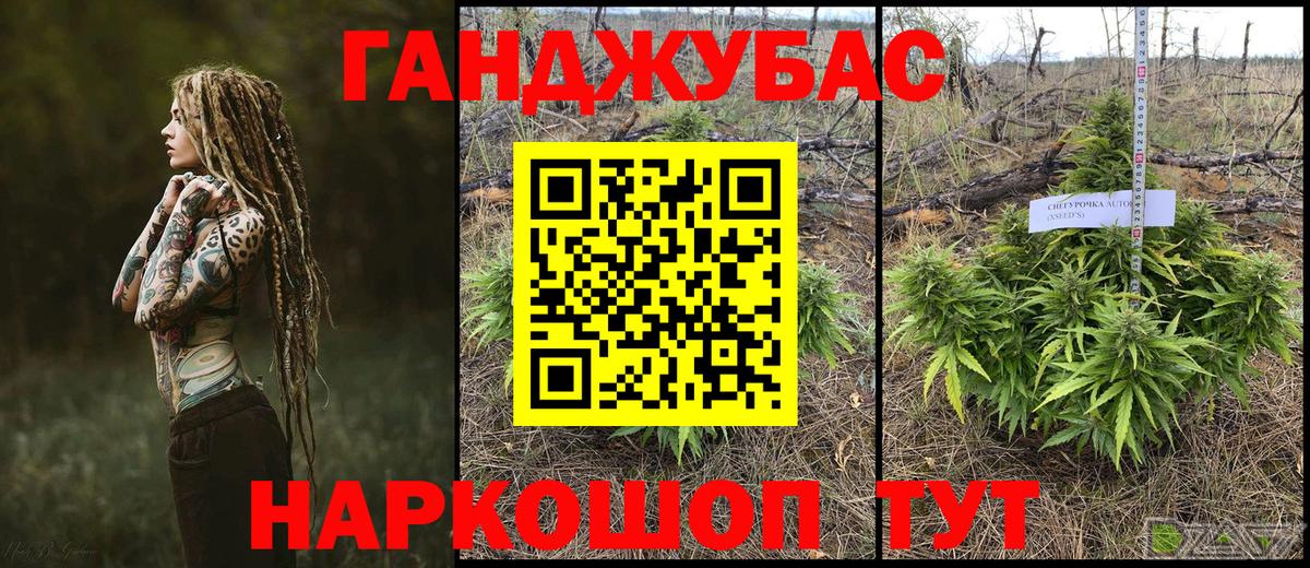 Нижний Тагил  Бошки марихуана семена  Бошки марихуана Amnesia  Вход с VPN  Канабис OG Kush  Каннабис Bruce Banner 